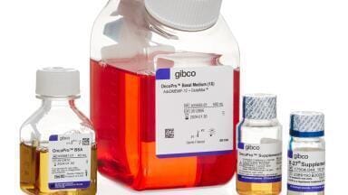 Accelerating Novel Cancer Therapies with Tumoroid Culture Medium