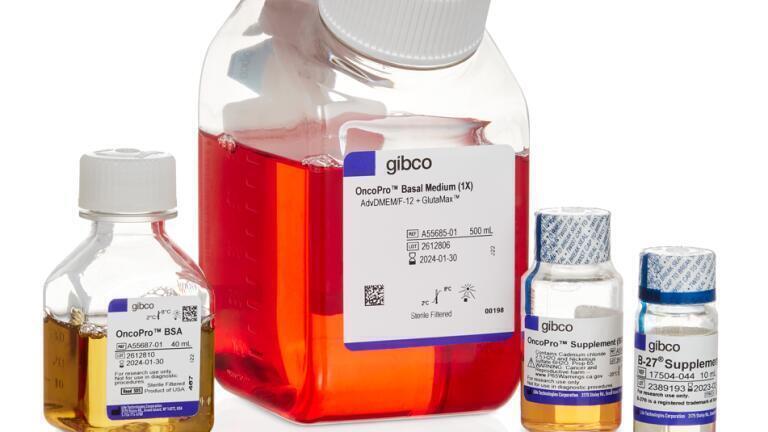 Accelerating Novel Cancer Therapies with Tumoroid Culture Medium