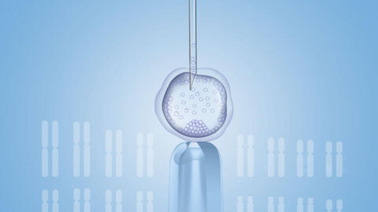 Accelerating Fertility Research: New Reproductive Health Assays