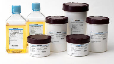 New Media System for Efficient Therapeutic Protein Production
