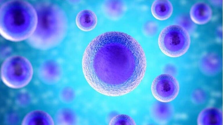Ready to use stable cell lines (courtesy: AMSBIO).