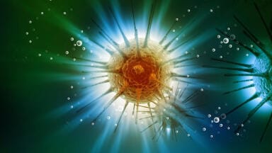 Precision In Vivo Luminescence Imaging