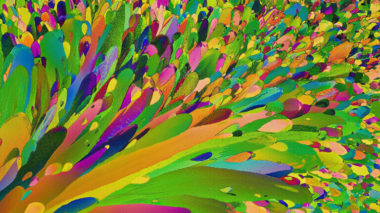 Cagri Yalchin - Crystallization Scene of Magnesium Nitrate dissolved in water and ethanol