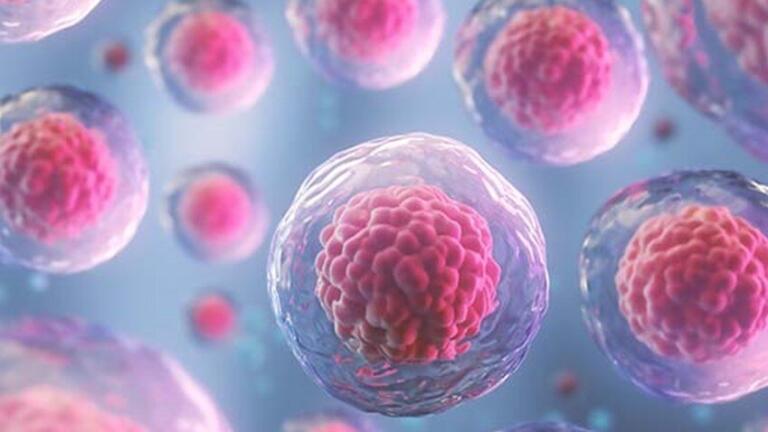 Stem cells illustration. (courtesy: AMSBIO)