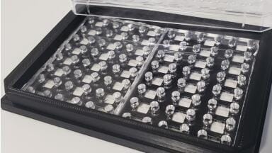Revolutionising Tumour Screening with Lab-on-Chip Technology