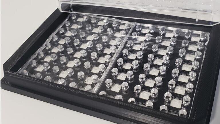 Revolutionising Tumour Screening with Lab-on-Chip Technology