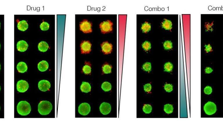 Results from a screening experiment. (courtesy: ScreenIn3D)