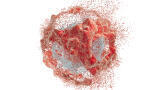 Avestin EmulsiFlex-B15 High Pressure Homogeniser: Fast and Efficient Cell Disruption for Even the Toughest Samples