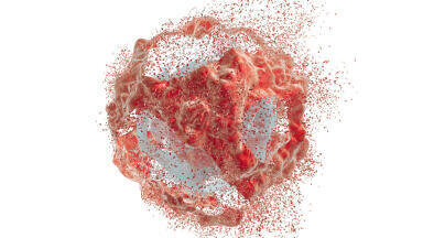 Avestin EmulsiFlex-B15 High Pressure Homogeniser: Fast and Efficient Cell Disruption for Even the Toughest Samples