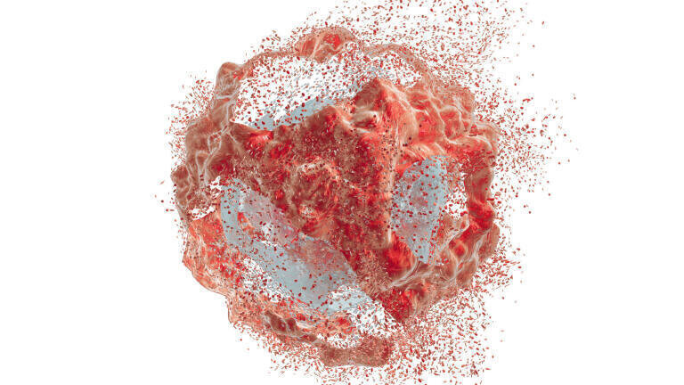 Avestin EmulsiFlex-B15 High Pressure Homogeniser: Fast and Efficient Cell Disruption for Even the Toughest Samples