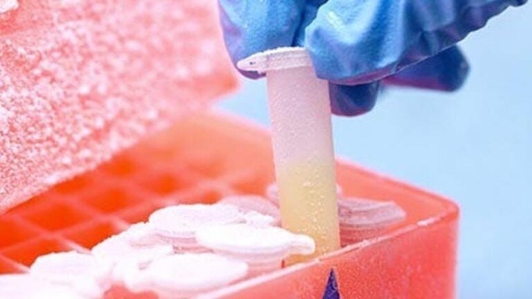 CELLBANKER® series of cell freezing media offer high cell viability (>90%) in serum, serum-free, GMP and DMSO-free formats.