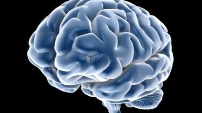 Nanoparticles offer new pathway for Brain Tumour treatment