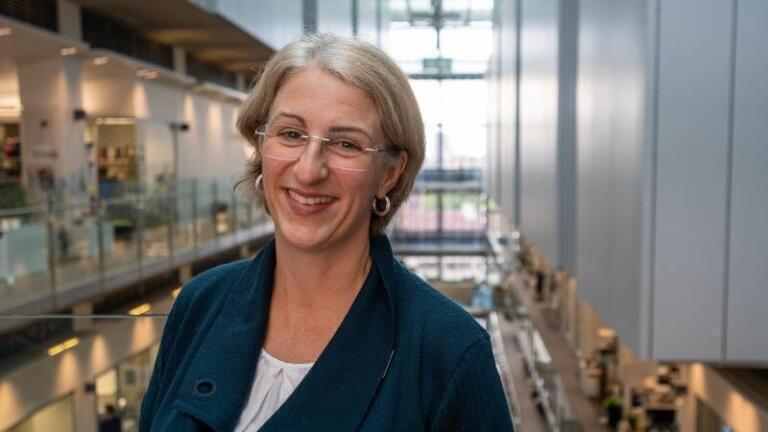 Crick and UK Universities collaborate in major Viral Infection Studies