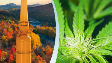 New York cannabis pesticides kit simplifies testing