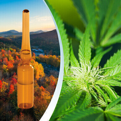 New York cannabis pesticides kit simplifies testing