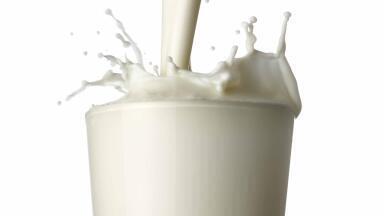 For a safe Diwali, test your milk
