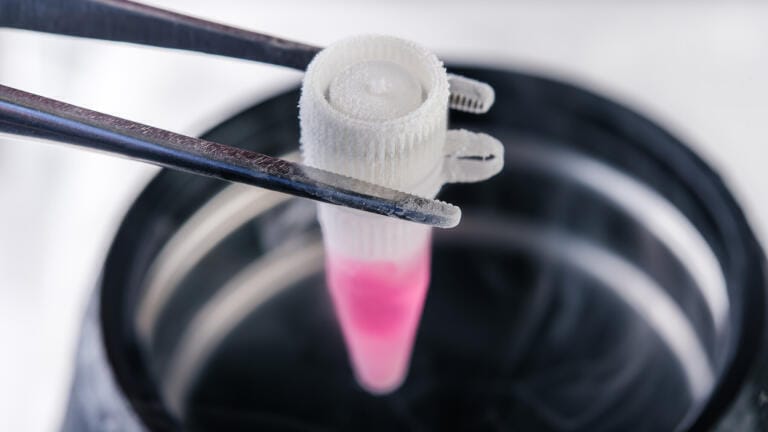 CELLBANKER® series of cell freezing media offer high cell viability (>90%) in serum, serum-free, GMP and DMSO-free formats.