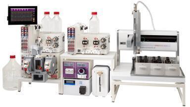 Productive peptide synthesis system for continuous flow chemistry