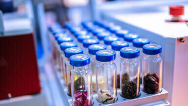 analytica 2024: Advancing food analysis for sustainable nutrition