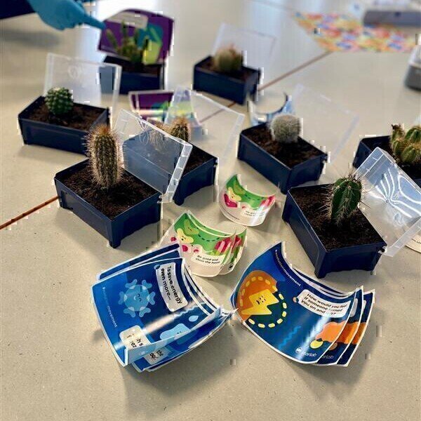 Cultivating sustainability: Over 3,000 cacti promote green laboratory practices - Vimarsana News