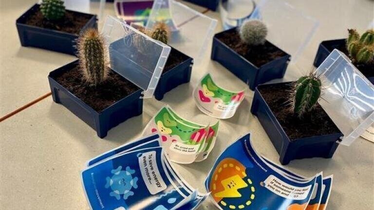 Cultivating sustainability: Over 3,000 cacti promote green laboratory practices