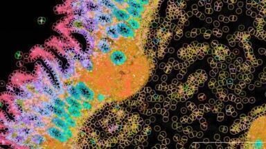 Advancing spatial biology with powerful multi-omics profiling tools