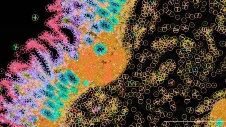 Advancing spatial biology with powerful multi-omics profiling tools