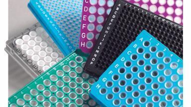 Colour-coded 96-well skirted PCR plates