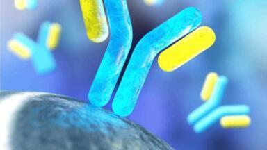 High-performance magnetic beads for immunoassay optimisation