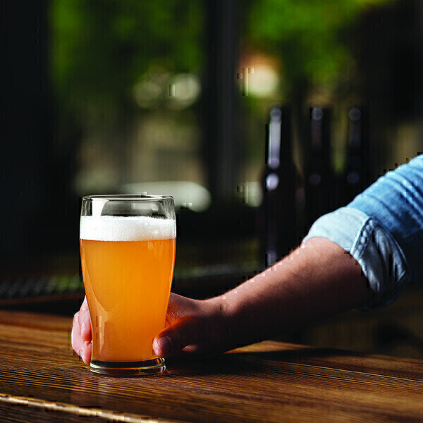 Unlocking beer quality: Analysis for nitrosamine control - Vimarsana News