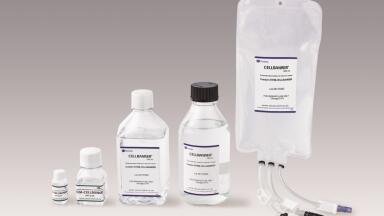 Custom cryopreservation solutions for advanced cell therapies