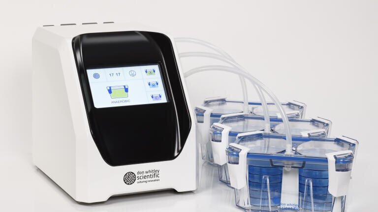 Create rapid conditions in anaerobic jars