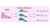 Nano probes uncover cellular responses to pressure
