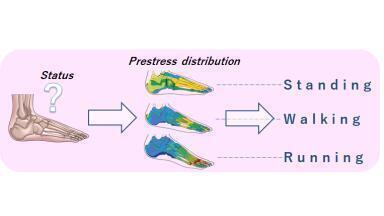 Nano probes uncover cellular responses to pressure