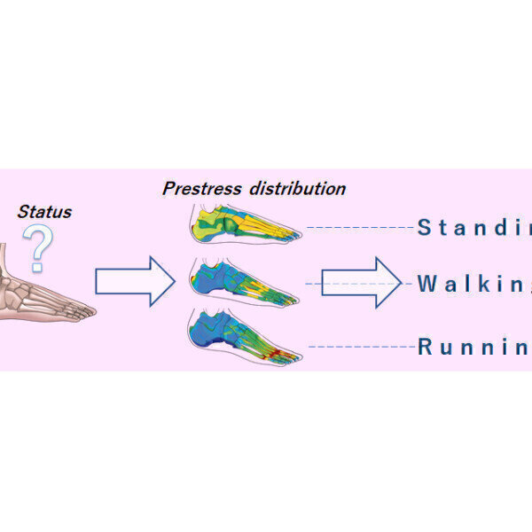 Nano probes uncover cellular responses to pressure - Vimarsana News