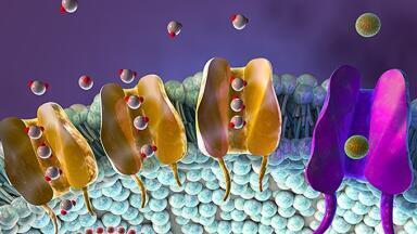 Aston celebrates grant to establish membrane centre