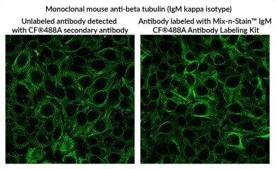 Innovative IgM antibody labelling kits