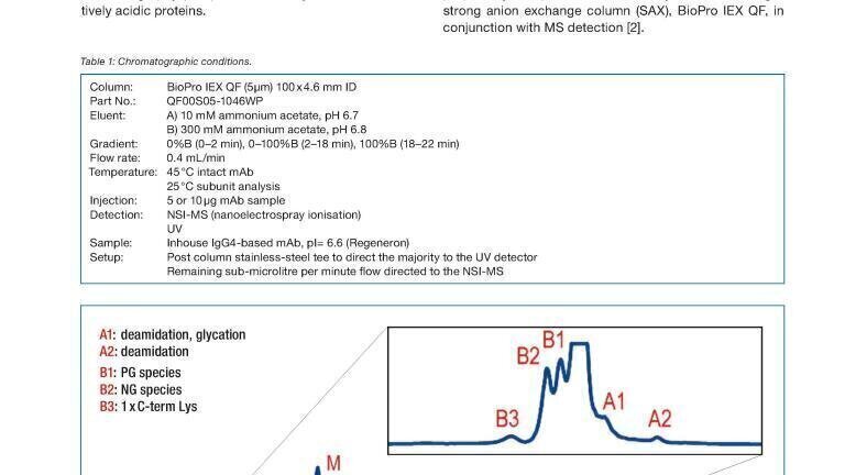 New application note: AEX-MS - a powerful tool for charge heterogeneity characterisation of an IgG4-based mAb