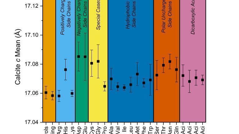 Calcium carbonate study highlights benefits of citizen science engagement