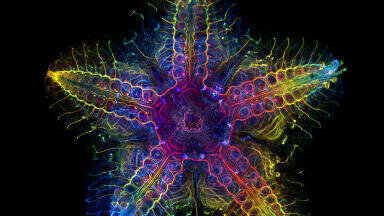 Evident Image of the Year competition now open