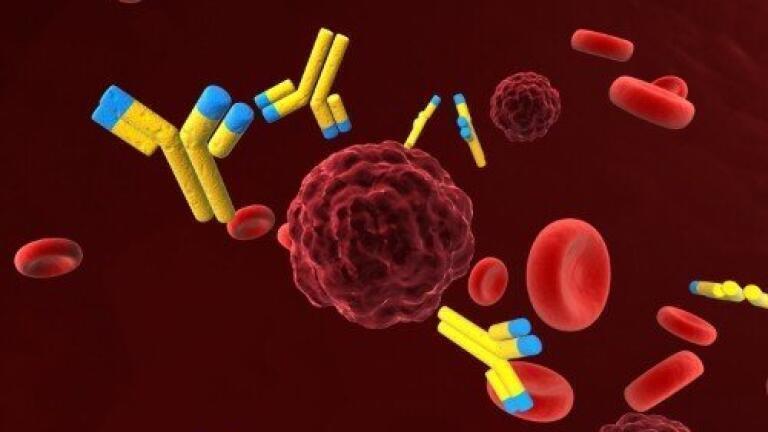 Partnership to advance molecules targeting KRAS mutations