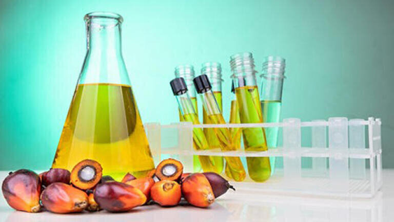 Screening and quality control of palm oil with NIR spectroscopy
