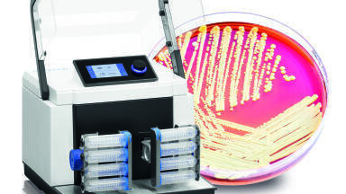 Cell disruption of microorganisms with mixer mills