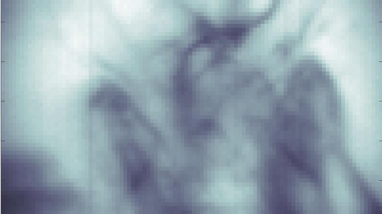 Experimental Image of a bee head captured with the quantum microscope in the presence of aberrations.