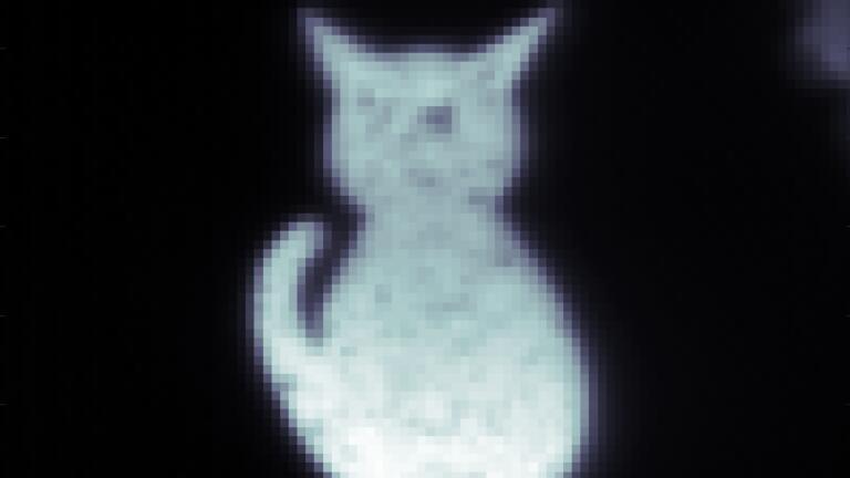 Experimental Image of a cat shaped object captured with the quantum microscope without aberrations