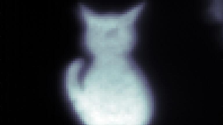 Experimental Image of a cat shaped object captured with the quantum microscope in the presence of aberrations