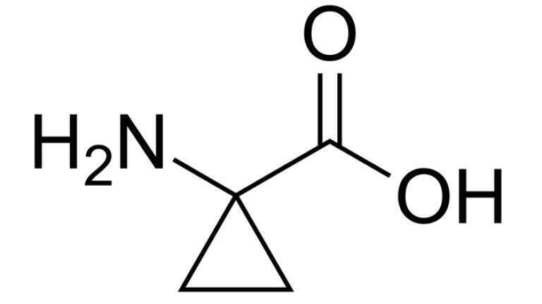 Example of a chiral Cyclopropane carboxylic acid.