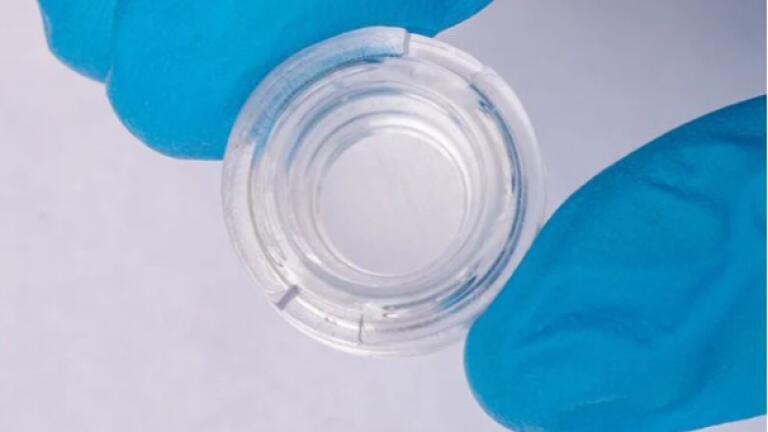 CollaFibR™ scaffold in 12-well plate format.