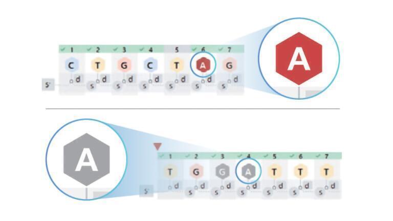 A Dedicated Workspace for Oligonucleotide Characterisation