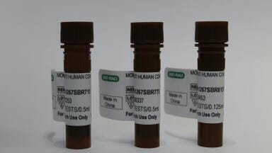New dyes and antibody markers for enhanced immunology research